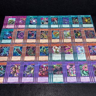 Yugioh - Bộ Bài Predaplant tiếng Nhật
