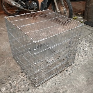 Chuồng 50v nan khít 0.8cm nuôi úm gà con có đáy cách phân
