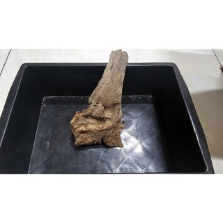 lũa san đá tự nhiên mini, trung , to