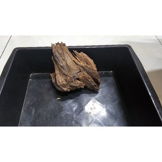 lũa san đá tự nhiên mini, trung , to