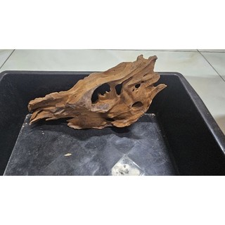 lũa san đá tự nhiên mini, trung , to
