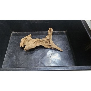 lũa san đá tự nhiên mini, trung , to