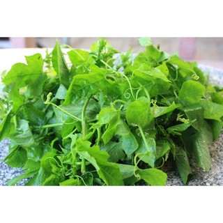 Hạt giống cây nhãn lồng ( lạc tiên - chùm bao )  - Gói 30 hạt