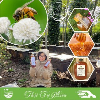Mật Ong Hoa Cà Phê T'FARM DAKLAK