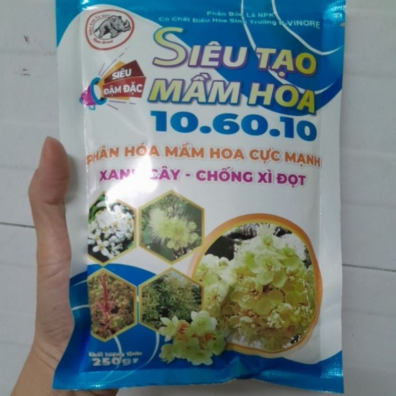 SIÊU TẠO MẦM HOA-10.60.10