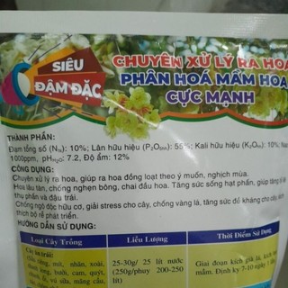 SIÊU TẠO MẦM HOA-10.60.10