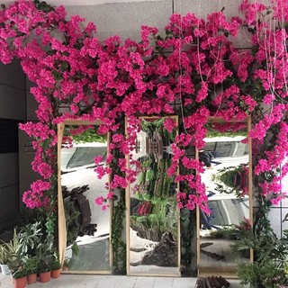 Hoa Giả 🌺 Hoa giấy trang trí nhà cửa