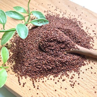 Hạt đình lịch nguyên chất 100g