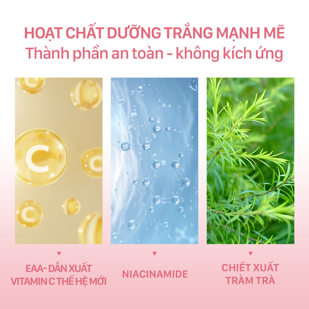 vn 11134207 7r98o lvybdkt53wt733