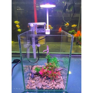 Bể cá để bàn, 15x15x20cm kính việt nhật