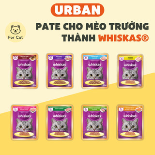 Pate mèo whiskas, pate gói mèo lớn, pate mèo trưởng thành