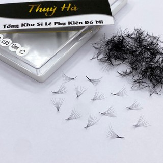 Mi fan sẵn 8D dày 0.05_cong C-CC-D_hộp 500-1000fan_8-20mm_chân keo nhỏ_dụng cụ nối mi Thúy Hà