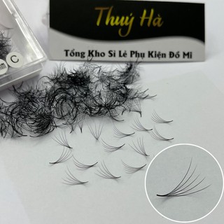 Mi fan sẵn 5D HỘP 1000-500FAN dày 0.07 cong C-CC-D _dụng cụ nối mi_kho mi giá sỉ_THÚY HÀ