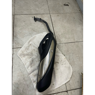 Cây pô zin sh 2020-2023