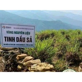 Tinh dầu sả Java Mường Tè, tinh dầu nguyên chất 500ml