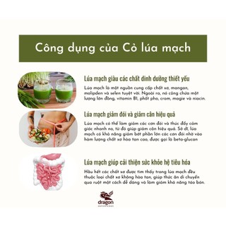 Bột Cỏ Lúa Mạch Organic Dragon SuperFoods 150g