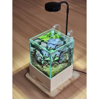 Combo bể cá văn phòng thủy sinh mini để bàn làm việc
