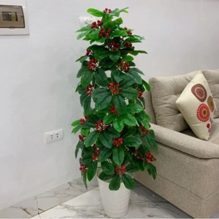  Chậu cây kim ngân lượng  cây sơ ri   cây giả trang trí   kèm chậu nhựa  