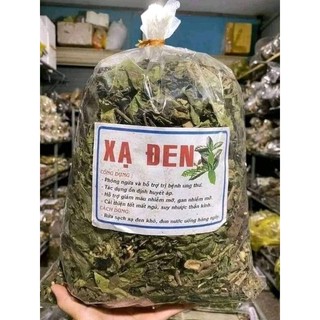 Cây giống xạ đen Hòa Bình ( chuẩn giống lá có răng cưa)