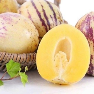 Hạt giống dưa pepino