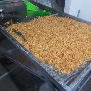 Hành phi Hải Dương loại 1kg