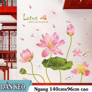 Decal trang trí Đầm Sen nở rực rở và đàn cá Koi LOTUS