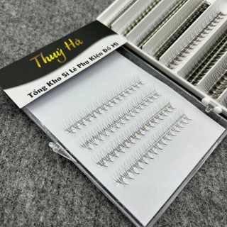 Mi fan 4d dây hộp mix size 9-15mm_dày 0.07_cong c-cc-d_dụng cụ nối mi_thúy hà
