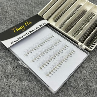 Mi Fan 5D Dây hộp Mix Size 9-15mm(1000fan)_dày 0.07_Cong C-CC-D_dụng cụ nối mi_Thúy Hà