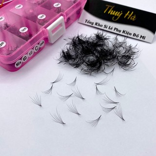 Mi fan 6D Sole Camellia hộp Mix size (10-15mm)  dày 0.07 Cong C-CC-D_Mifan_Dụng cụ nối mi_Thúy Hà