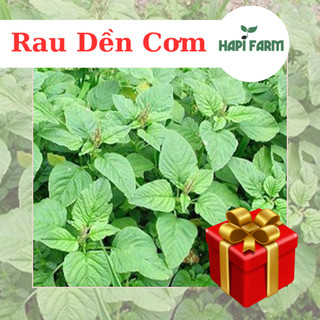 Hạt giống rau dền cơm tr47