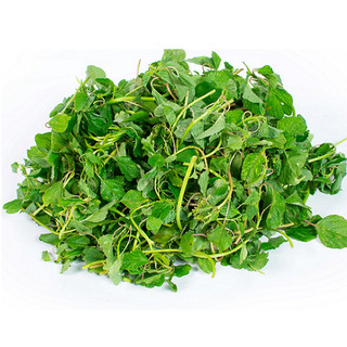 Hạt Giống Rau Dền Cơm - Rau Ăn Lá Dễ Trồng, Nảy Mầm Nhanh TR47