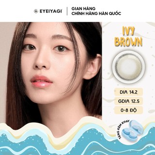 Kính áp tròng EYEIYAGI màu nâu Ivy Brown lens cận 3 tháng độ cận 0-8 DIA 14.2mm | Chính hãng Hàn Quốc