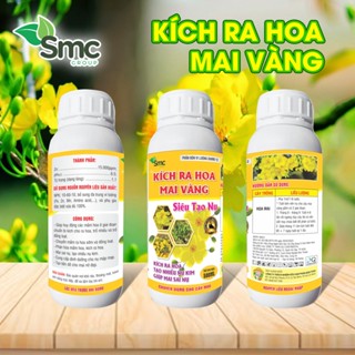 Kích ra hoa Mai Vàng 500ml, phân bón mai vàng kích ra hoa và siêu tạo nụ cho cây mai vàng