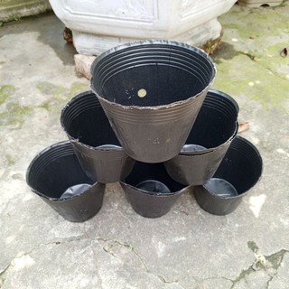 Bầu ươm cây 16*14