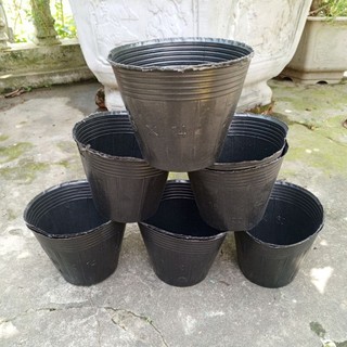 Bầu ươm cây 16*14