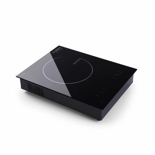 Bếp từ đơn cao cấp, bếp từ đơn đặt âm bàn bosch pc90