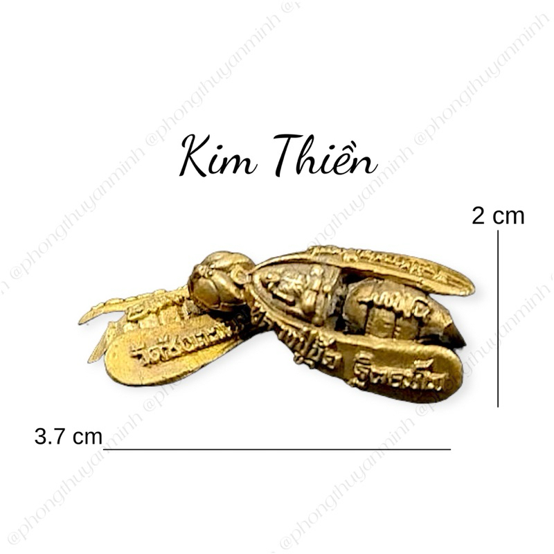 Ve Sầu Vàng - Kim Thiền - Tượng Đồng Phong Thuỷ - Tượng Đồng Mini Thái Lan