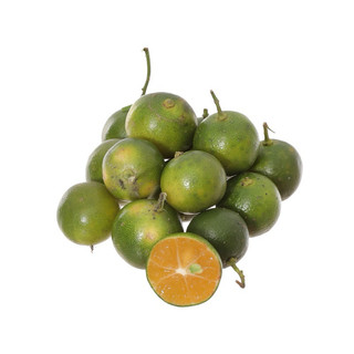 Tắc chua đang trái