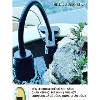Đèn led rọi biotope 3 chế độ ánh sáng : chân kẹp phù hợp với bể tròn