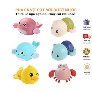  Rùa bơi trong nước rùa bơi thả chậu tắm 