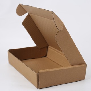 Hộp đóng hàng Carton size lớn