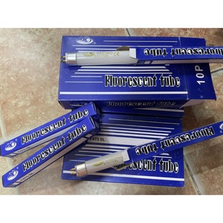 ComBo 5 Bóng Bắt Muỗi 4W - 14.5cm (Bóng Chỉ Test Sáng - Không Bảo Hành)