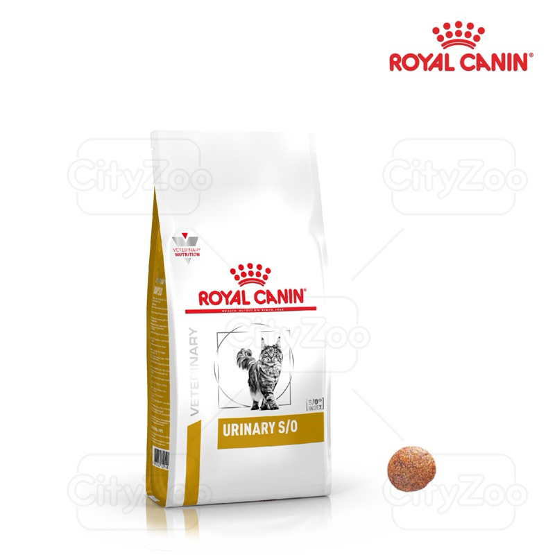 Thức ăn hạt Urinary S/O Mèo Royal Canin - Hàng chính hãng