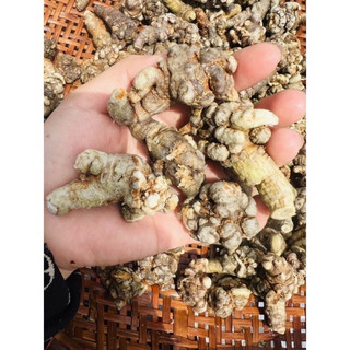 Bột Tam Thất Bắc hàng chuẩn 100g ( Hàng 50-52 củ 1kg to)