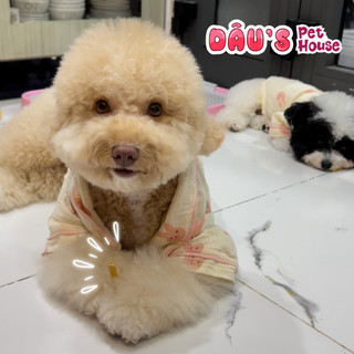 Snack Que Gặm Cho Thú Cưng