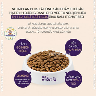 Thức ăn cho Mèo Nutri Plan 5kg