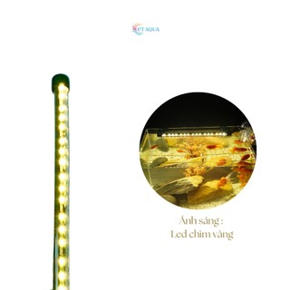 Đèn bể cá cảnh Đèn led chìm dành cho hồ cá cảnh