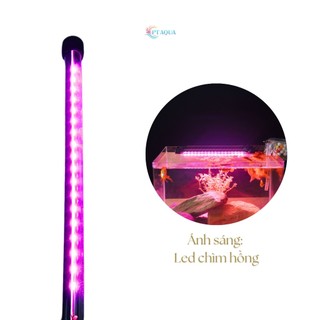 Đèn bể cá cảnh Đèn led chìm dành cho hồ cá cảnh