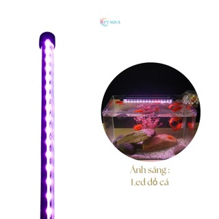 Đèn bể cá cảnh Đèn led chìm dành cho hồ cá cảnh