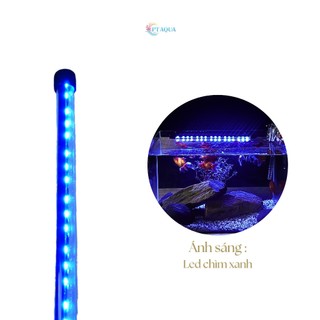 Đèn bể cá cảnh Đèn led chìm dành cho hồ cá cảnh